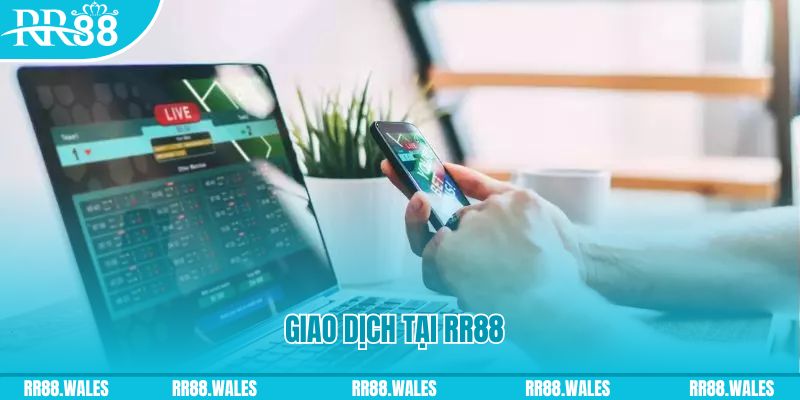 pg 88 gà chọi c1.com trực tiếp 888