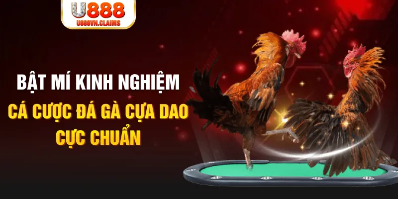 pg 88 xổ số miền nam xổ số miền nam