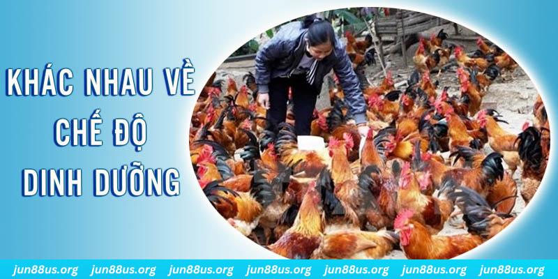 pg 88 xổ số miền nam thứ năm hàng tuần