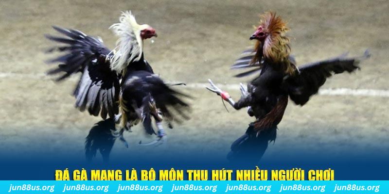 pg 88 đăng nhập lô đề hàng đầu