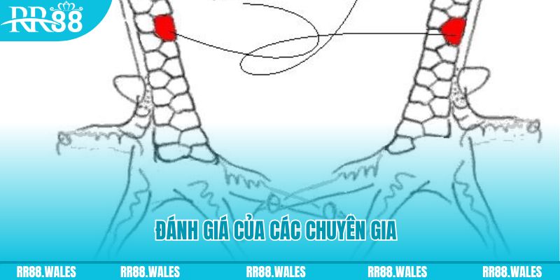 pg 88 V8 Game Bài 3d