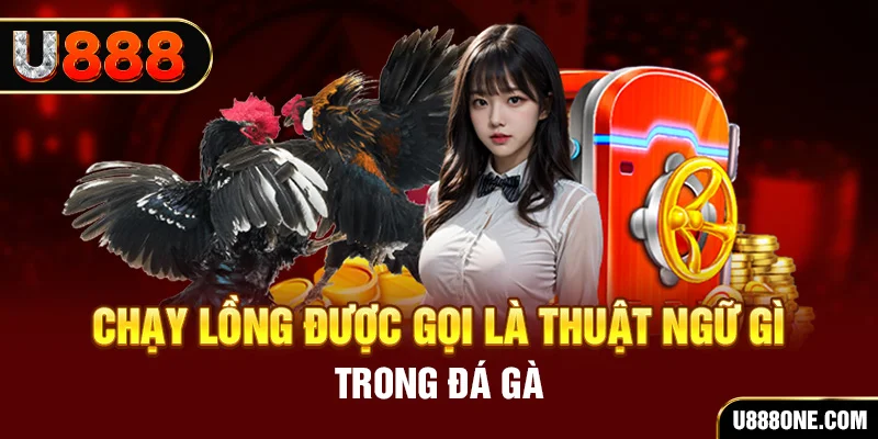 tai game vua bai ve may tinh