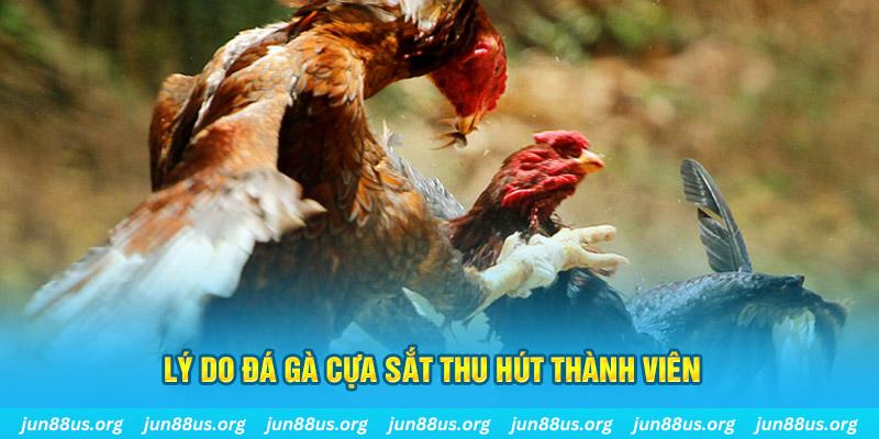 pg 88 chiếm slot là gì