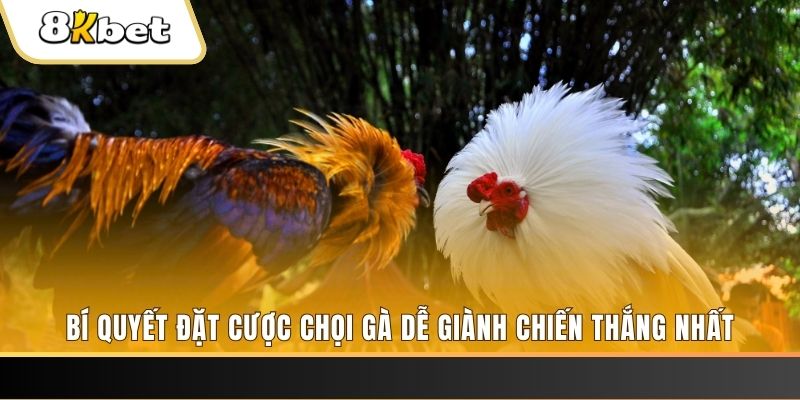 pg 88 xổ số thứ hai hàng tuần