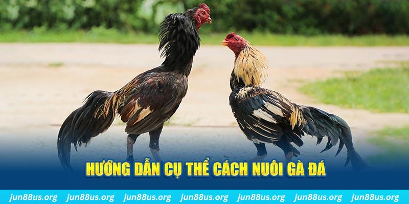pg 88 đăng nhập sòng bạc số 1