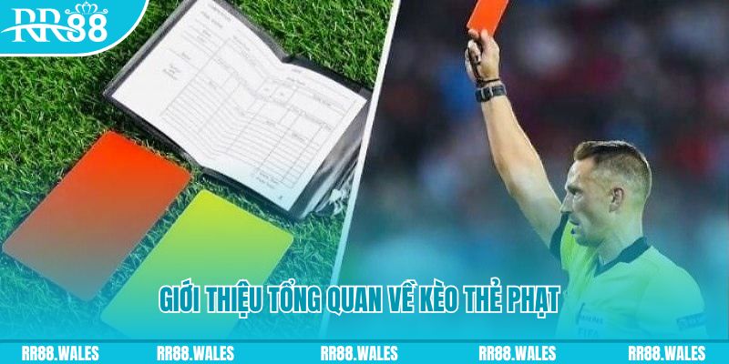 pg 88 những ai nên chơi nổ hũ