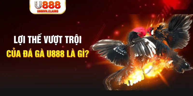 pg 88 168G Điện Tử